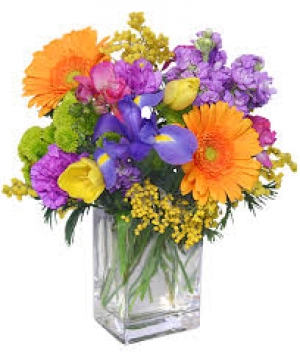 OyeGifts - Send Flowers Online Across Gurgaon